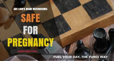 Lion's Mane Mushrooms and Pregnancy: Safety, Benefits, and Risks Explained