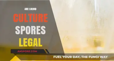 Are Liquid Culture Spores Legal? Understanding the Legal Landscape