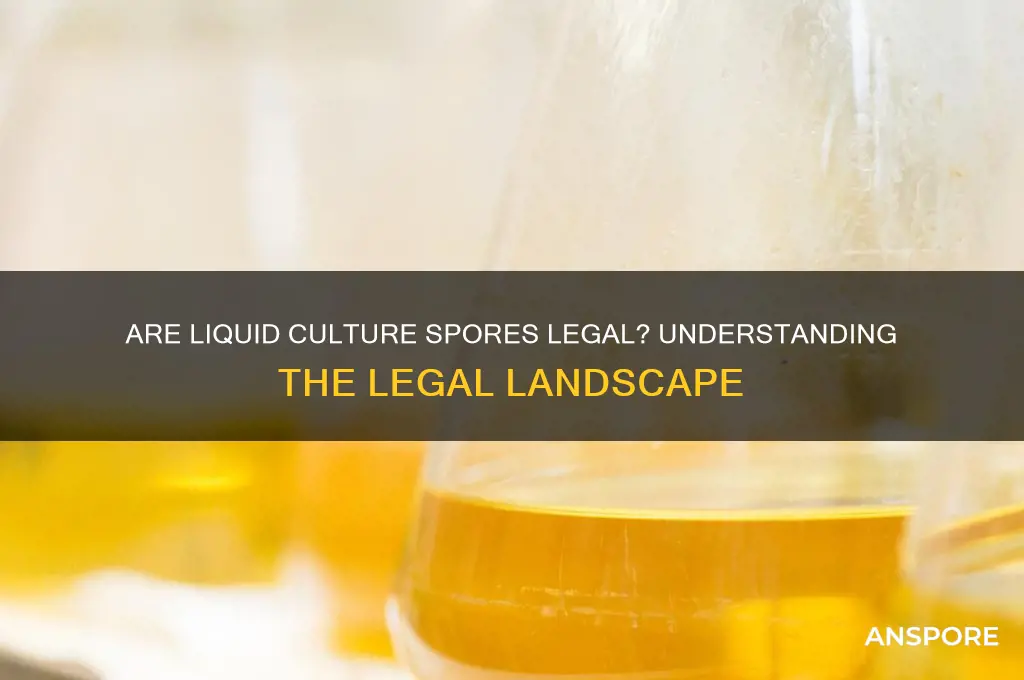 are liquid culture spores legal
