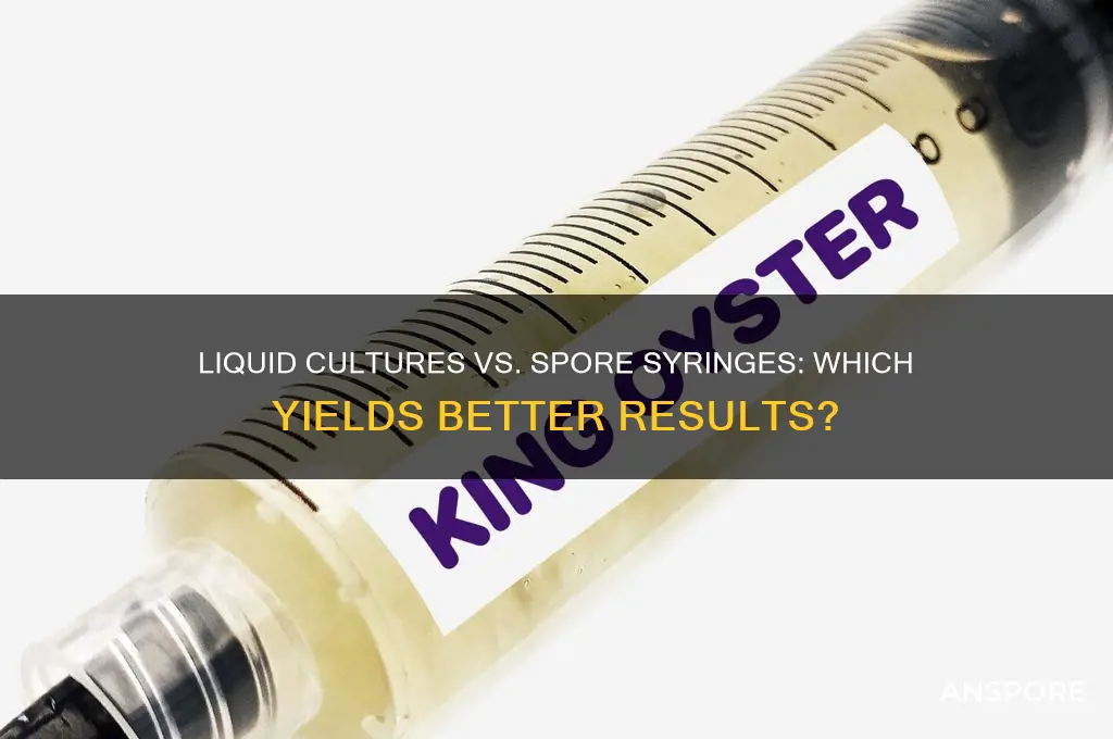 are liquid cultures better than spore syringe