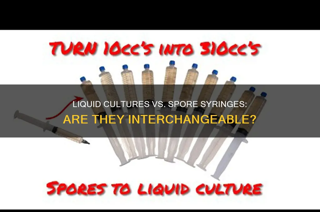 are liquid cultures spore syringe same thing