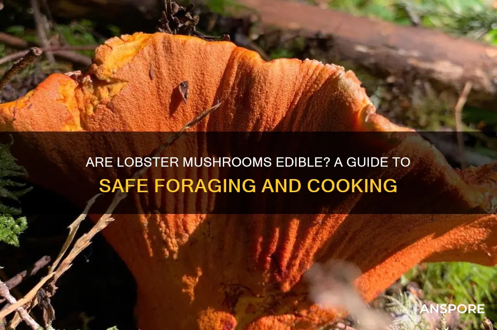 are lobster mushrooms edible