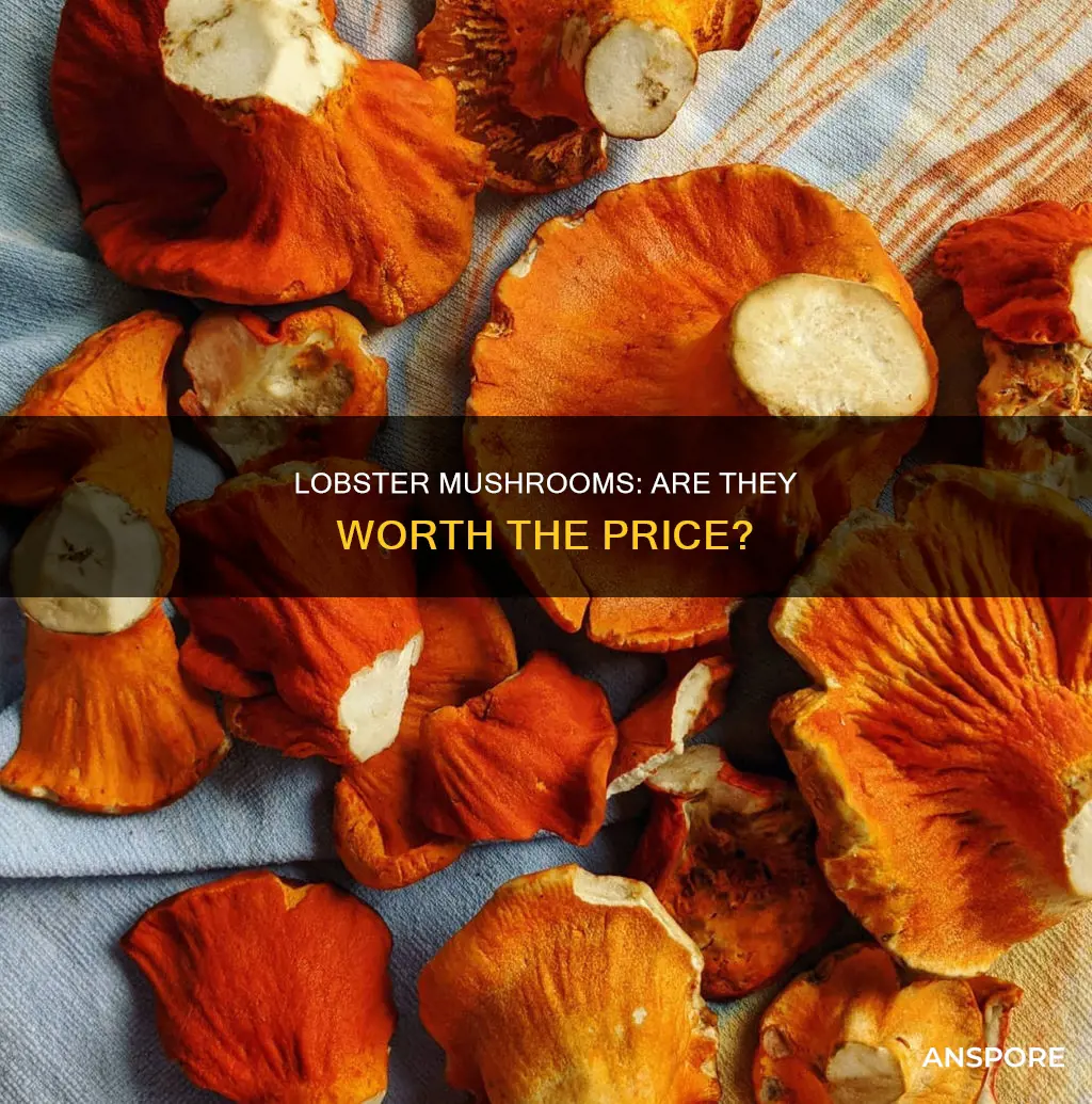 are lobster mushrooms expensive