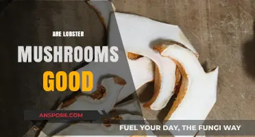 Are Lobster Mushrooms Good? Unveiling Their Flavor and Culinary Potential