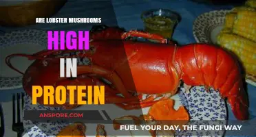 Are Lobster Mushrooms a High-Protein Food? Discover the Truth
