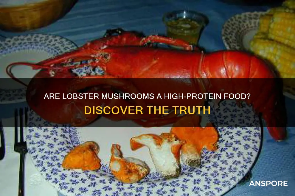 are lobster mushrooms high in protein