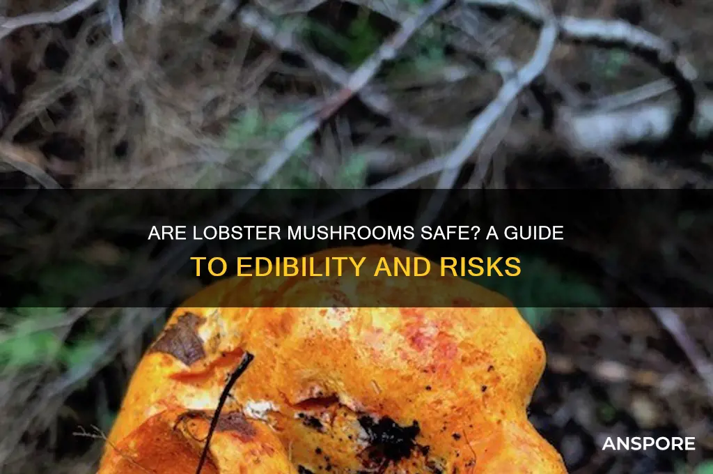 are lobster mushrooms safe to eat