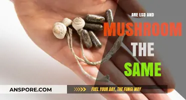 LSD vs. Mushrooms: Unraveling the Differences and Similarities