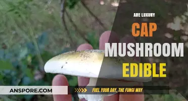 Are Luxury Cap Mushrooms Edible? A Tasty or Toxic Treat?