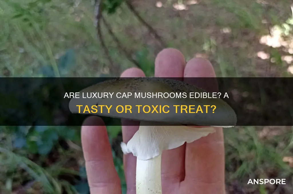 are luxury cap mushrooms edible