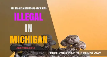Are Magic Mushroom Grow Kits Legal in Michigan? What You Need to Know