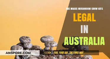Are Magic Mushroom Grow Kits Legal in Australia? A Comprehensive Guide
