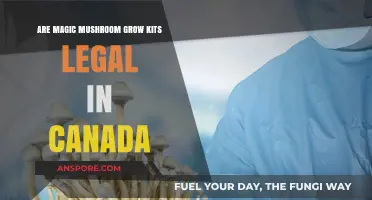 Are Magic Mushroom Grow Kits Legal in Canada? Exploring the Law