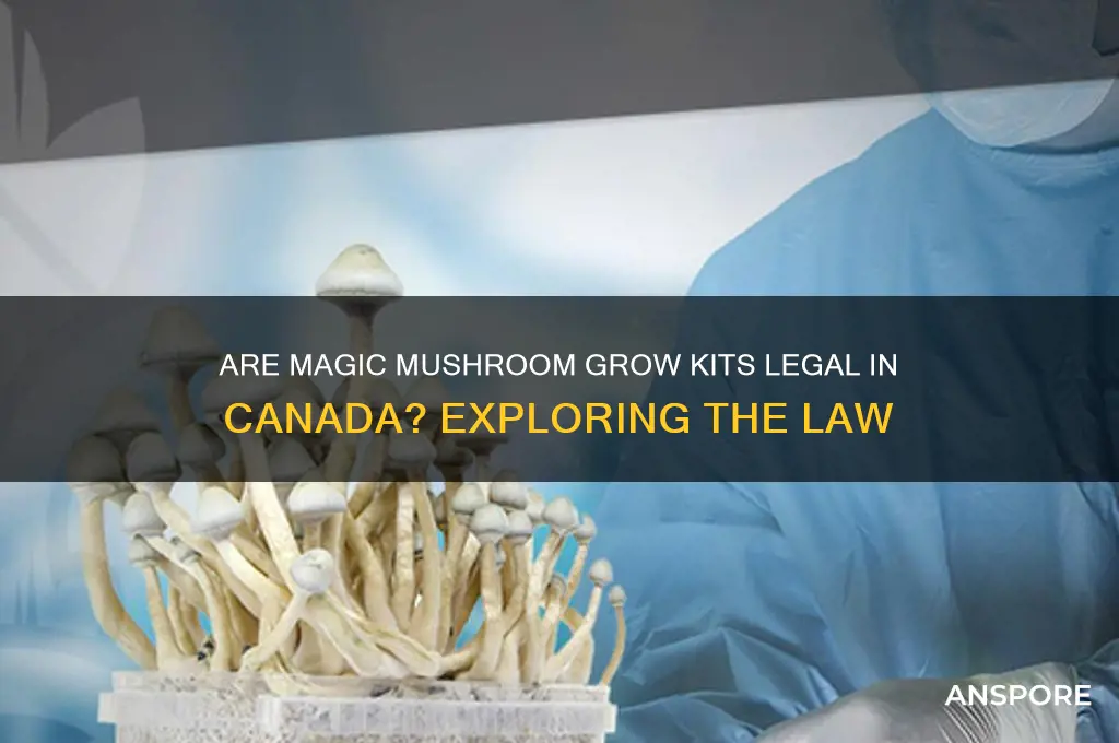 are magic mushroom grow kits legal in canada