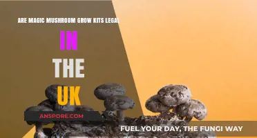 Are Magic Mushroom Grow Kits Legal in the UK?
