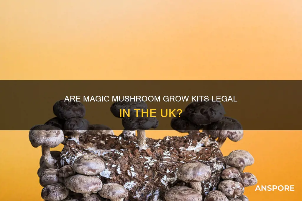 are magic mushroom grow kits legal in the uk