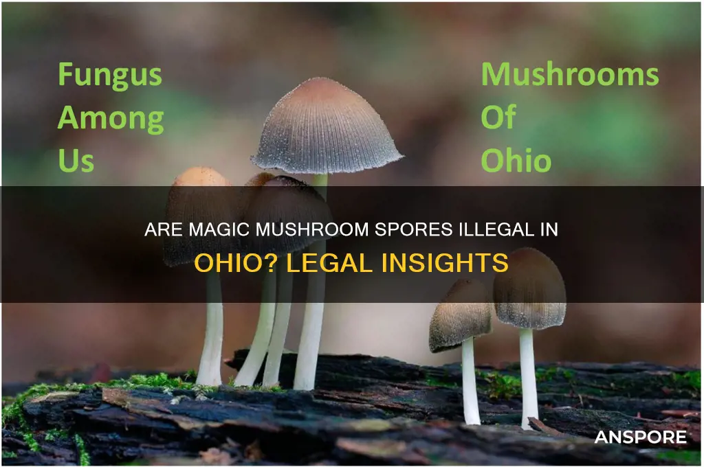 are magic mushroom spores illegal in ohio