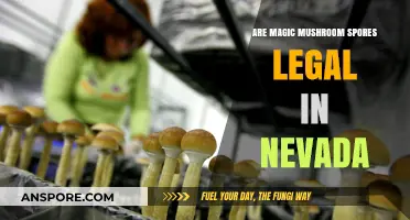 Are Magic Mushroom Spores Legal in Nevada? Exploring the Law