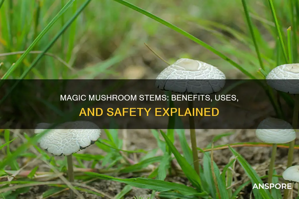 are magic mushroom stems good