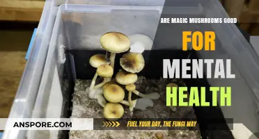 Magic Mushrooms and Mental Health: Exploring the Potential Benefits