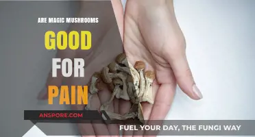 Magic Mushrooms for Pain Relief: Exploring Potential Benefits and Risks