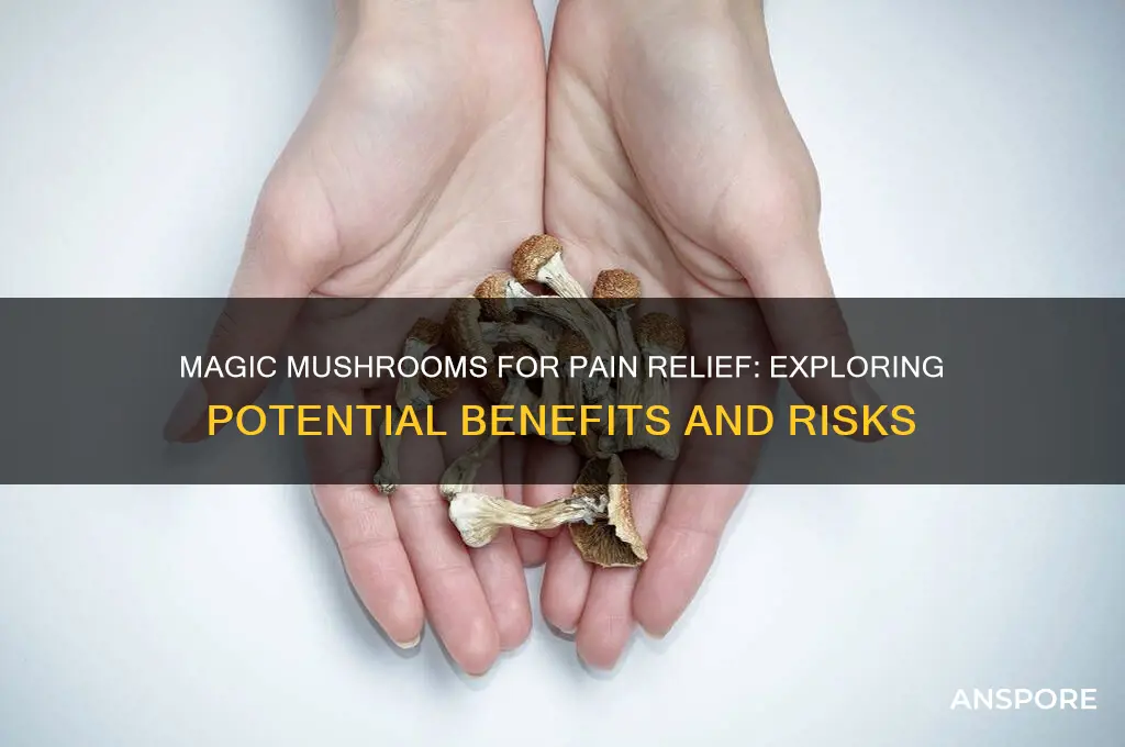 are magic mushrooms good for pain