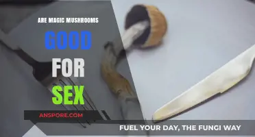 Magic Mushrooms and Sexual Enhancement: Unveiling the Psychedelic Connection