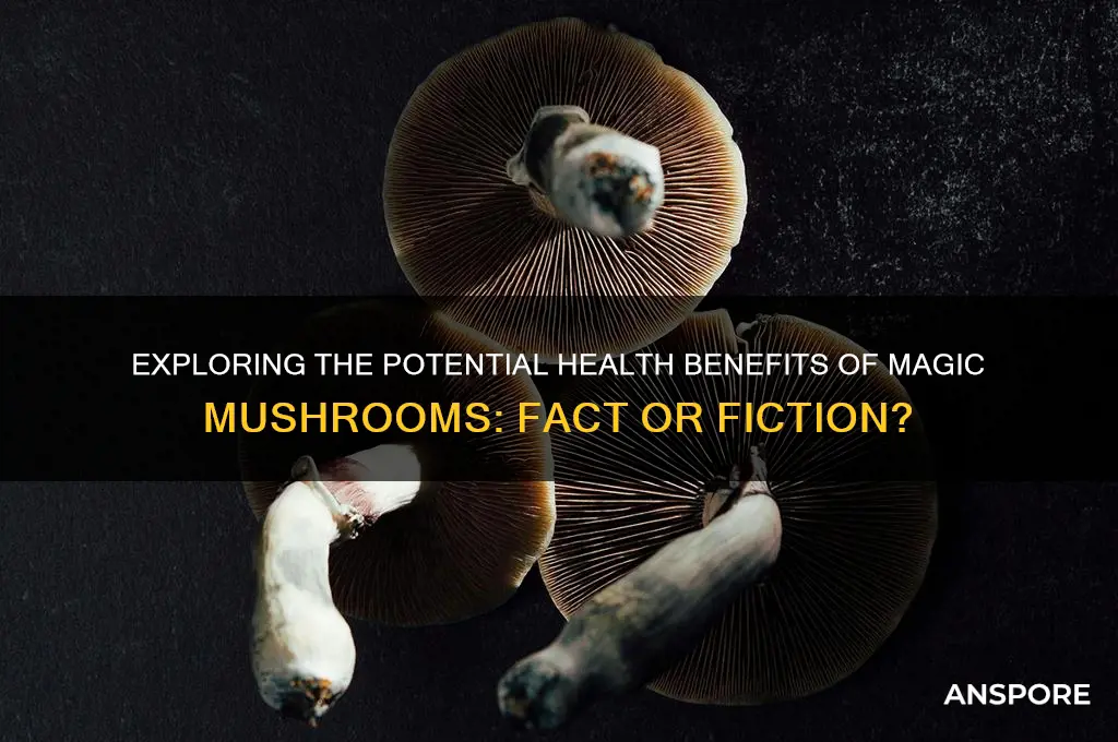 are magic mushrooms good for you