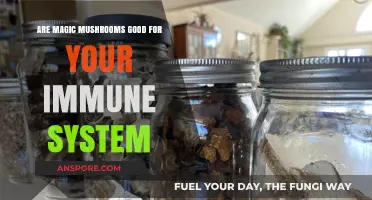 Magic Mushrooms and Immunity: Unveiling Their Potential Health Benefits