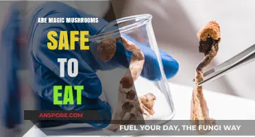 Are Magic Mushrooms Safe? Exploring Risks and Benefits of Psilocybin