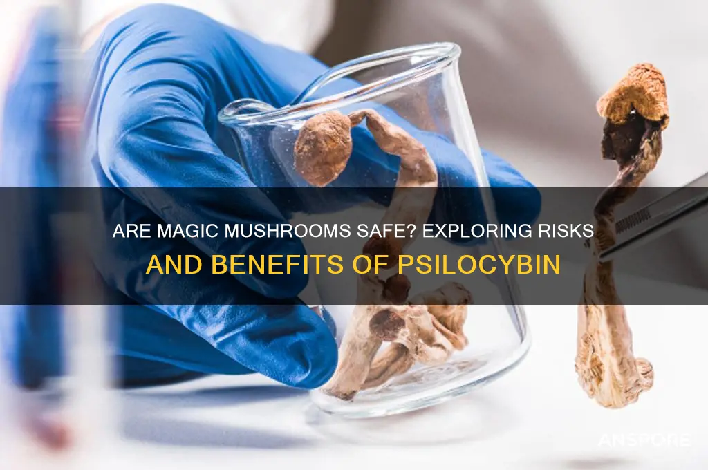 are magic mushrooms safe to eat