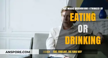 Eating vs. Drinking Magic Mushrooms: Which Method Packs More Power?