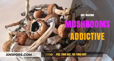 Magic Mushrooms: Addictive or Not?