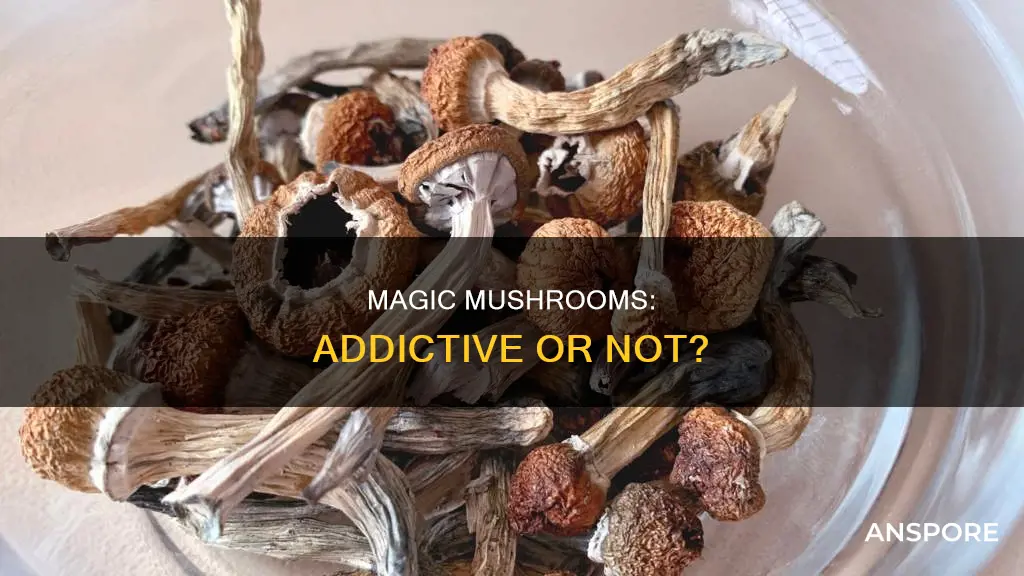 are maginc mushrooms addictive