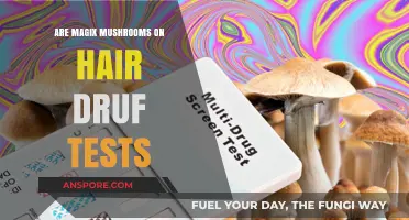 Do Magic Mushrooms Show Up on Hair Follicle Drug Tests?