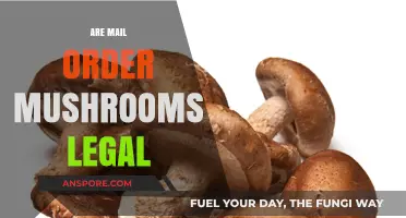 Are Mail Order Mushrooms Legal? Exploring the Legal Landscape