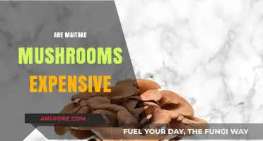 Maitake Mushrooms: Are They Worth the High Price?