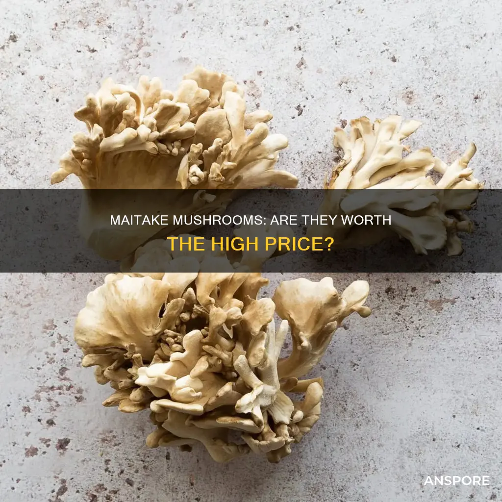 are maitake mushrooms expensive