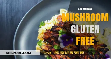 Maitake Mushrooms: Gluten-Free Superfood?