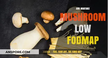 Maitake Mushrooms: Low FODMAP Superfood?