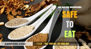 Are Maitake Mushrooms Safe? A Comprehensive Guide to Consumption