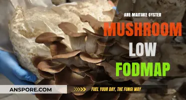 Are Maitake Oyster Mushrooms Low FODMAP? A Dietary Guide
