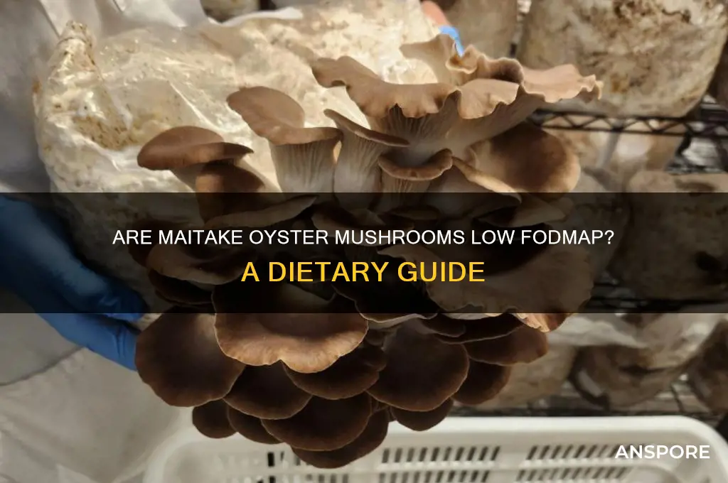 are maitake oyster mushrooms low fodmap