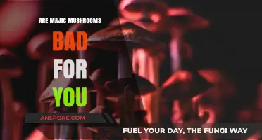 Are Magic Mushrooms Harmful? Exploring Risks and Potential Benefits