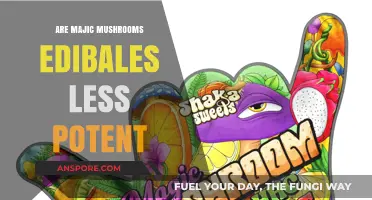 Are Magic Mushrooms Edibles Less Potent? Exploring Effects and Dosage