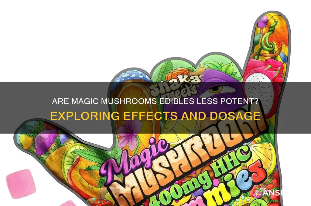 are majic mushrooms edibales less potent