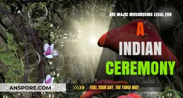 Are Magic Mushrooms Legal for Traditional Indian Ceremonies?
