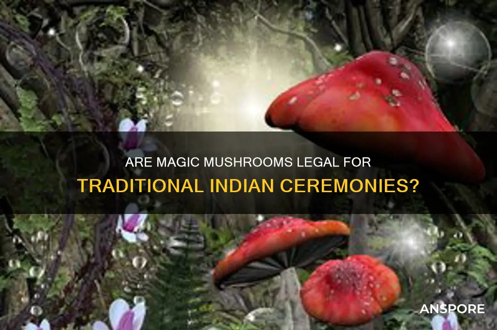 are majic mushrooms legal for a indian ceremony