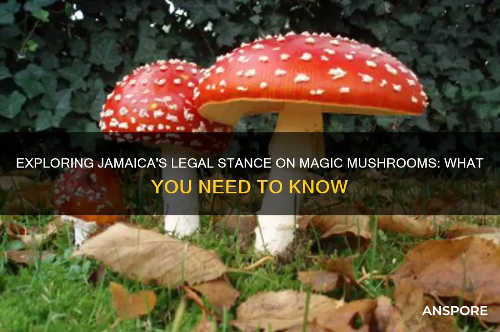are majic mushrooms legal in jamaica