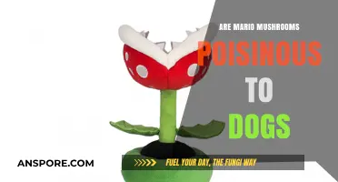 Are Mario Mushrooms Poisonous to Dogs? The Truth Revealed